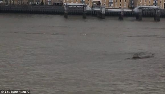 Harrison đá thấy một sinh vật lạ dưới sông và quyết định quay lại nơi đó ngày tiếp theo. Sự thay đổi lạ lùng khiến cậu bối rối và liên tục thực hiện những chuyến phiêu lưu bí ẩn quanh bờ sông. Gia đình bắt đầu lo ngại về sự an toàn của cậu.