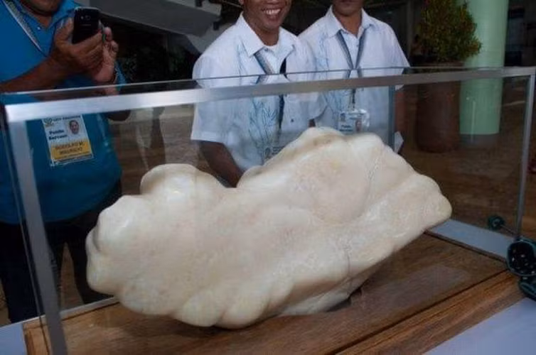 Chủ sở hữu của viên ngọc trai vẫn là người ngư dân đã phát hiện ra nó.