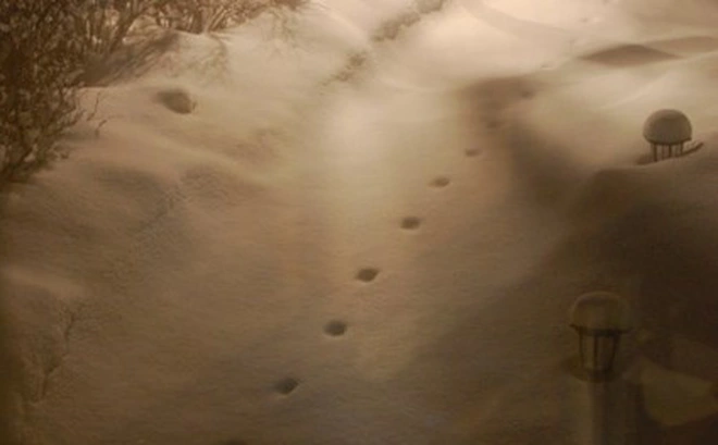 1. Dấu chân của quỷ (1855): Đây là một sự kiện bí ẩn xảy ra ở Đông Devon, Anh, vào tháng 2/1855 sau cơn tuyết rơi nặng.