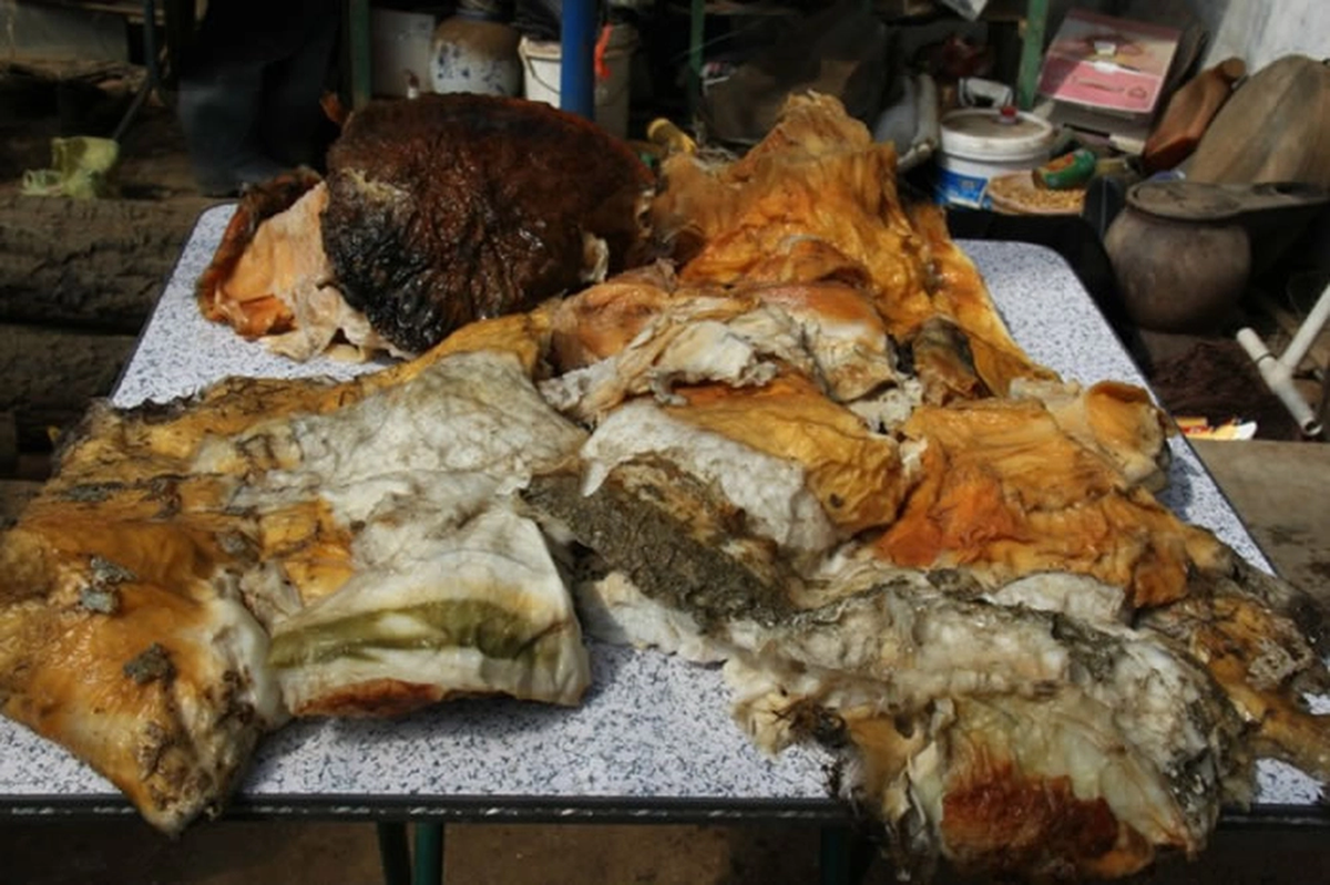 Linh chi Thái tuế đắt đỏ vì nó không thể trồng mà chỉ có thể mọc hoàn toàn tự nhiên. Nấm này phát triển rất chậm và càng lâu năm, càng có giá trị dinh dưỡng cao.