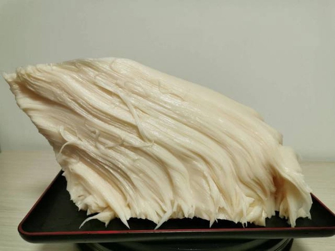 Linh chi Thái tuế đã được ghi nhận trong Đông y Trung Quốc và được coi là một siêu phẩm với nhiều tác dụng dược tính cao. Báu vật này được sử dụng trong y học truyền thống để bổ tỳ vị phổi, dưỡng gan thận, cải thiện tuần hoàn, tăng cường hệ miễn dịch và ngăn ngừa nhiều bệnh tật.