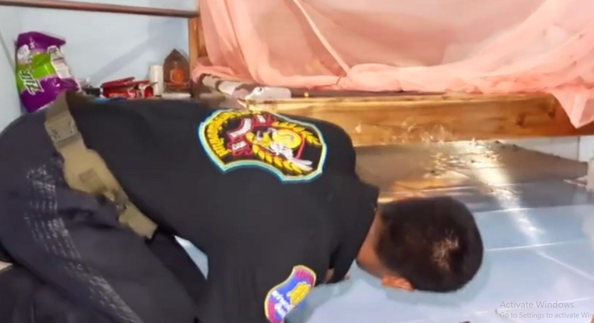 Ngay lập tức, bà Aree lao ra khỏi nhà và kêu gọi sự giúp đỡ từ hàng xóm, và đội cứu hộ khẩn cấp đã được gọi đến. Con " quái vật" này bám chặt vào một chân giường, thách thức nhóm cứu hộ bằng những cử động hung dữ và cố gắng tấn công. Một tình nguyện viên đã dùng móc kim loại để kiểm soát con vật và kéo nó ra khỏi giường.