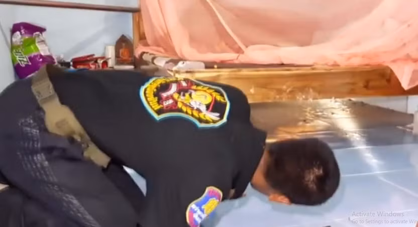 Ngay lập tức, bà Aree lao ra khỏi nhà và kêu gọi sự giúp đỡ từ hàng xóm, và đội cứu hộ khẩn cấp đã được gọi đến. Con " quái vật" này bám chặt vào một chân giường, thách thức nhóm cứu hộ bằng những cử động hung dữ và cố gắng tấn công. Một tình nguyện viên đã dùng móc kim loại để kiểm soát con vật và kéo nó ra khỏi giường.