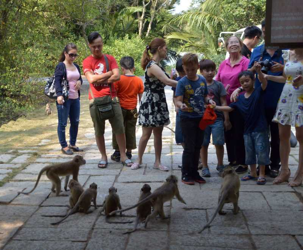 Khỉ đuôi dài có đuôi dài gần bằng hoặc hơn chiều dài cơ thể. Chúng là loài có đuôi dài nhất.