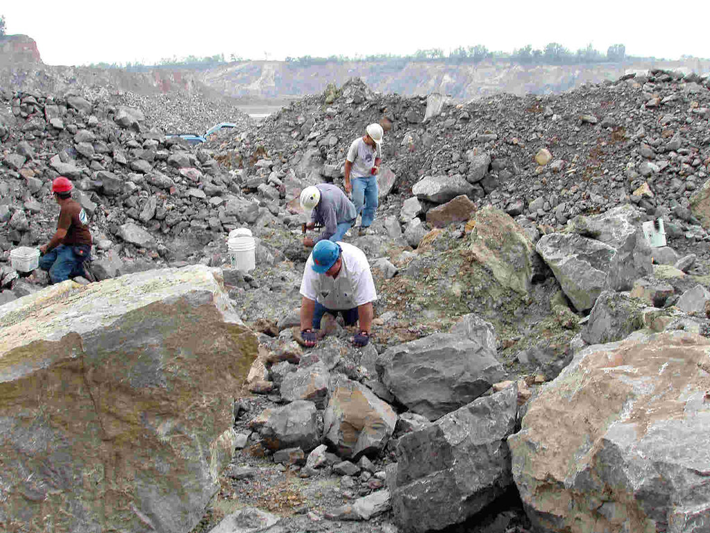 Hóa thạch da này được bảo tồn nhờ những đặc điểm độc đáo của hệ thống hang động đá vôi Richards Spur, nơi tìm thấy nhiều ví dụ cổ nhất về động vật trên cạn thời kỳ đầu.