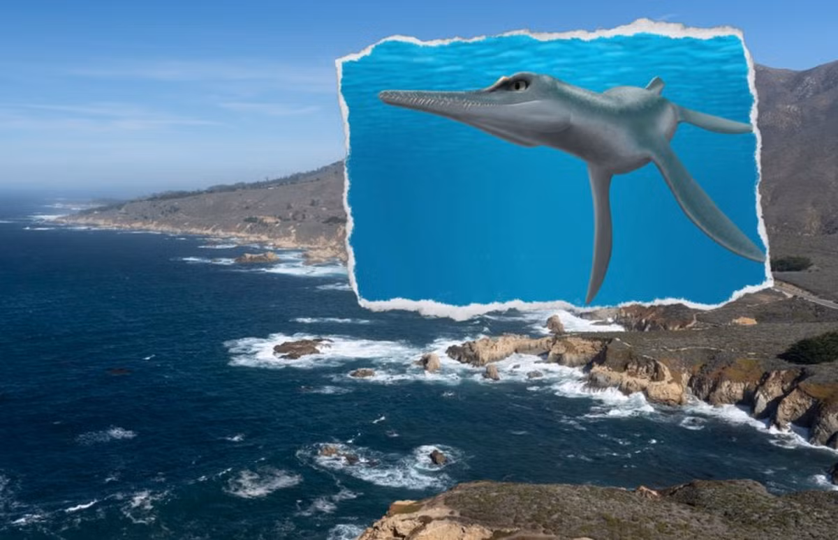 Các nhà khoa học tin rằng Unktaheela specta có kích thước dài từ 2,3 đến 2,6 mét khi còn sống, nhỏ hơn so với các thằn lằn đầu rắn khác.