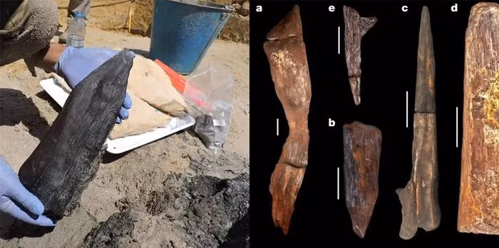 Barham cũng nhấn mạnh rằng việc tạo hình từ cây gỗ không chỉ đòi hỏi sự thông minh mà còn cần kỹ thuật làm thủ công khéo léo.