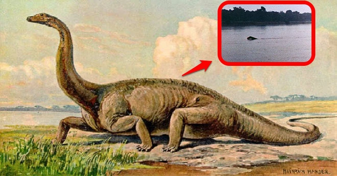 Carl Hagenbeck, một thợ săn thủy quái, cũng tuyên bố đã gặp quái vật tại vùng nội địa Rhodesia.