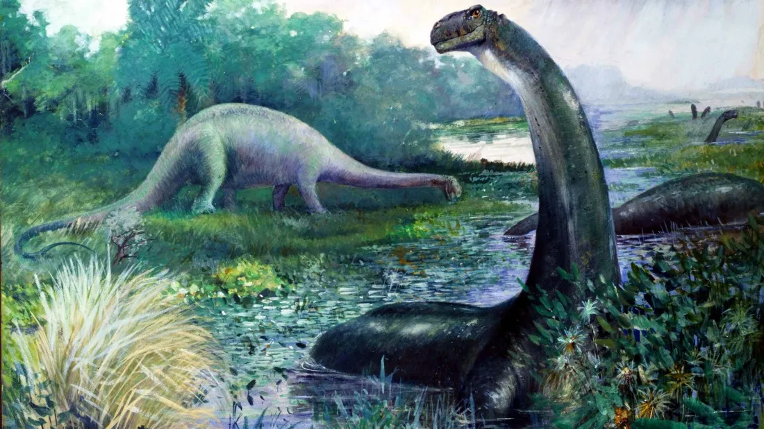 Giả thuyết về Brontosaurus gặp khó khăn khi không có hóa thạch nào về loài này tại khu vực sông Congo.