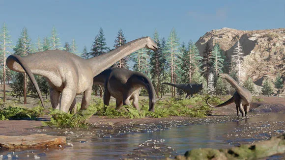 Sidersaura marae có chiều dài khoảng 20 m và trọng lượng khoảng 15 tấn khi còn sống.