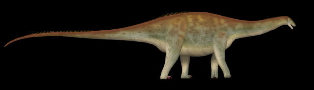 Đặc điểm độc đáo của Sidersaura marae bao gồm hình dạng ngôi sao của các vòm xương đuôi và hộp sọ có lỗ ở phía trước trán.