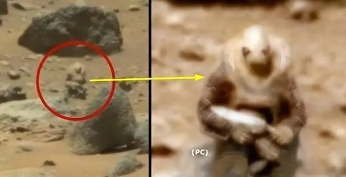 Các nhà khoa học đã tiến hành phân tích mẫu đá từ Sao Hỏa và phát hiện chất hữu cơ khác với sinh vật trên Trái Đất. Mặc dù chưa phải là bằng chứng vững chắc, sự xuất hiện của chất hữu cơ là một dấu hiệu quan trọng có thể liên quan đến sự sống. Tuy nhiên, những phát hiện này vẫn cần được xác minh và nghiên cứu thêm để đưa ra kết luận chính xác về sự sống ngoài hành tinh.