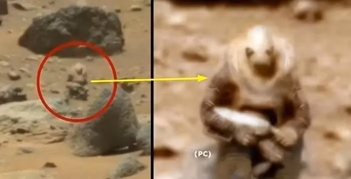 Các nhà khoa học đã tiến hành phân tích mẫu đá từ Sao Hỏa và phát hiện chất hữu cơ khác với sinh vật trên Trái Đất. Mặc dù chưa phải là bằng chứng vững chắc, sự xuất hiện của chất hữu cơ là một dấu hiệu quan trọng có thể liên quan đến sự sống. Tuy nhiên, những phát hiện này vẫn cần được xác minh và nghiên cứu thêm để đưa ra kết luận chính xác về sự sống ngoài hành tinh.