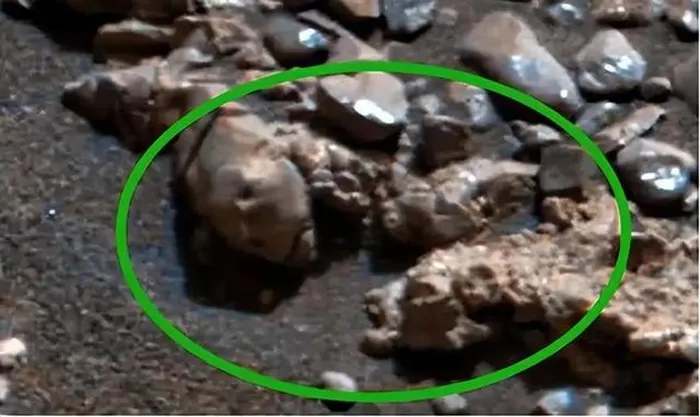 Khám phá này làm tăng sự tò mò về quá khứ của Sao Hỏa, nơi trước đây được biết đến là có môi trường thuận lợi cho sự sống. Việc phát hiện các dấu vết sinh học trên Sao Hỏa có thể chỉ ra rằng sự sống đã tồn tại ở đây trong quá khứ và đã trải qua một lịch sử phát triển.