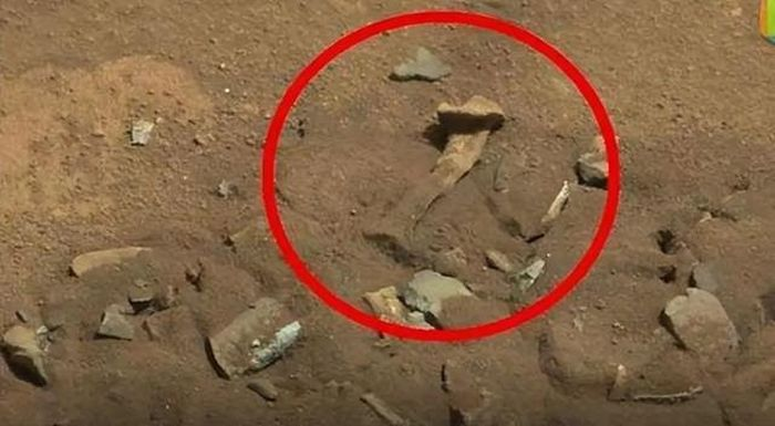 Tàu thám hiểm Perseverance đã chụp được dấu vết của các sinh vật tương tự Trái Đất trên bề mặt Sao Hỏa, đưa ra những manh mối mới và nâng cao sự quan tâm về khả năng có người ngoài hành tinh.