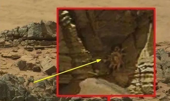 Tàu thám hiểm Perseverance đã phát hiện dấu vết của các sinh vật tương tự Trái Đất trên bề mặt Sao Hỏa, thu hút sự quan tâm toàn cầu. Các dấu vết này bao gồm tàn tích vi sinh vật và các phân tử hữu cơ, mà nếu được chứng minh, có thể là bằng chứng cho sự sống trên Sao Hỏa. Mặc dù chưa đủ để khẳng định sự tồn tại của sinh vật hoàn chỉnh, nhưng chúng cung cấp manh mối mới để tiếp tục nghiên cứu về sự sống ngoài Trái Đất.