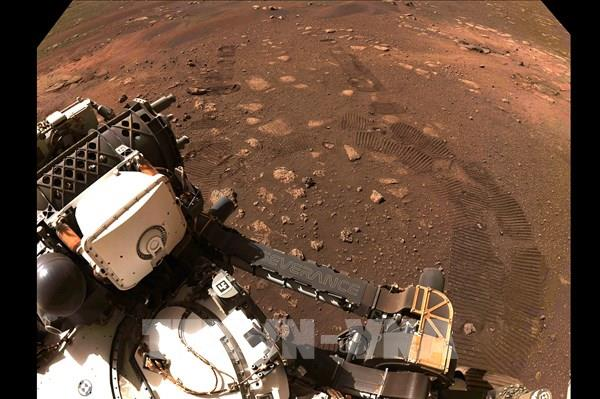 Sự phát hiện này đã mở ra cuộc tranh luận khoa học, với một số người cho rằng đây chỉ là hiện tượng địa chất tự nhiên, trong khi người khác tin rằng nó có thể là bằng chứng của sự sống ngoài hành tinh. Cuộc tranh luận chưa ngã ngũ, và chỉ khi có đủ bằng chứng khoa học mới có thể kết luận về khả năng tồn tại của sự sống ngoài hành tinh trên Sao Hỏa.