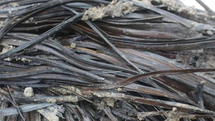 Mở mộ cổ 2.300 năm, vỡ oà thấy báu vật xưa nay hiếm Mo mo co 2.300 nam, vo oa thay bau vat xua nay hiem