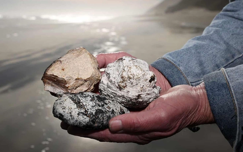 Các chuyên gia cho rằng việc kiếm được long diên hương trong khu vực này là điều không tưởng.