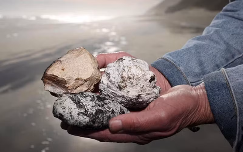 Các chuyên gia cho rằng việc kiếm được long diên hương trong khu vực này là điều không tưởng.