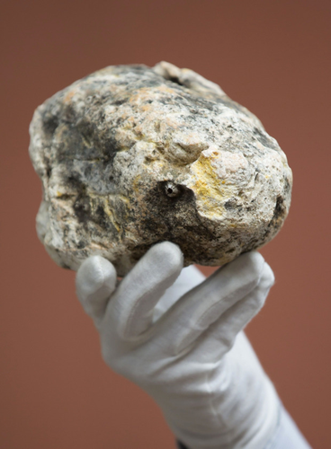 Giá trị của long diên hương rất cao, cứ 1 kg có thể bán với giá 12.600 bảng Anh (hơn 370 triệu đồng).