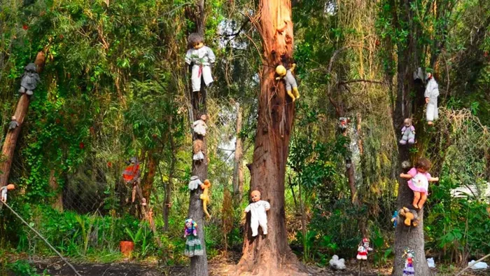 Ám ảnh hơn, vào năm 2001, người địa phương đã tìm thấy ông Julian Santana Barrera chết đuối tại đúng chỗ cô bé mất năm nào, tạo nên một vòng quay tàn nhẫn của số phận.