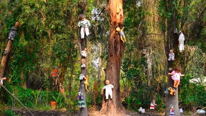 Ám ảnh hơn, vào năm 2001, người địa phương đã tìm thấy ông Julian Santana Barrera chết đuối tại đúng chỗ cô bé mất năm nào, tạo nên một vòng quay tàn nhẫn của số phận.