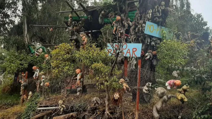 Trong những năm 1950, Don Julián Santana Barrera, một người đàn ông Mexico, sống cô lập trên hòn đảo hoang vắng Isla De Las Muñecas sau khi bị trục xuất khỏi khu vực Barrio de la Asunción.