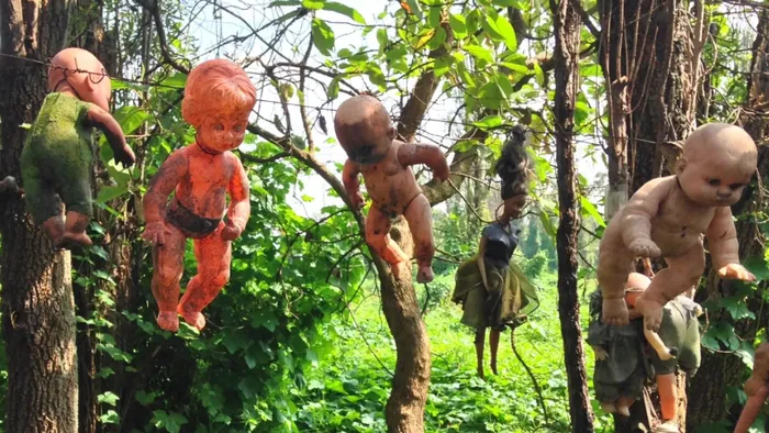 Các tour du lịch bằng thuyền đã xuất hiện để đưa du khách đến hòn đảo La Isla de las Muñecas khám phá những câu chuyện đằng sau những con búp bê bí ẩn này.