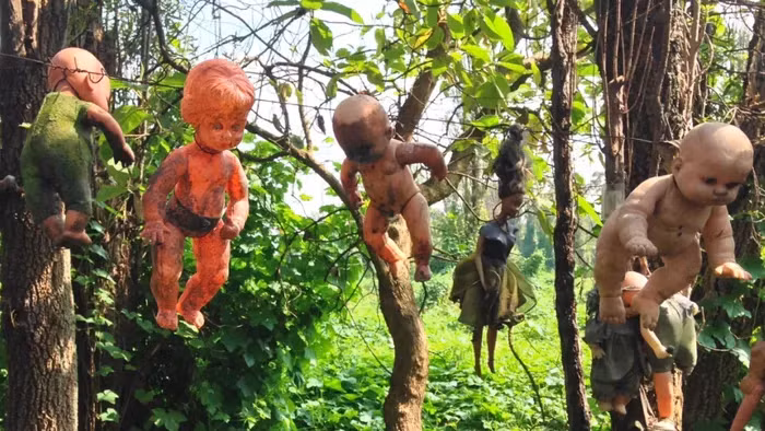 Các tour du lịch bằng thuyền đã xuất hiện để đưa du khách đến hòn đảo La Isla de las Muñecas khám phá những câu chuyện đằng sau những con búp bê bí ẩn này.