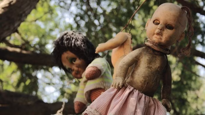 Được biết đến với hàng trăm hoặc thậm chí hàng nghìn con búp bê treo trên cây, đảo Isla de las Munecas mang theo những câu chuyện kinh dị và kỳ bí.