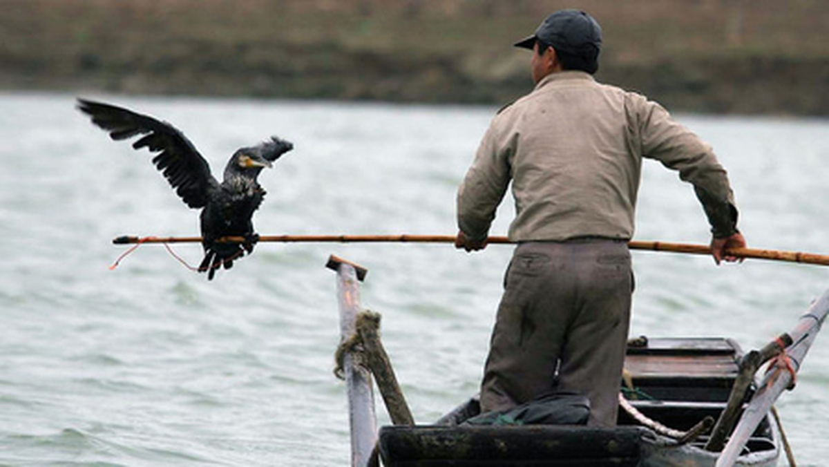 Tuy nhiên, sau trận chiến này, hồ Bà Dương trở thành địa điểm đầy bí ẩn và nguy hiểm.