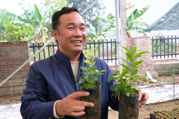 TS. Vũ Văn Thoại, Chủ tịch Hội đồng Khoa học Viện Nghiên cứu cây Đàn hương và Thực vật quý hiếm, đã thành công trong việc nghiên cứu thuần hóa và nhân giống cây đàn hương tại Việt Nam.