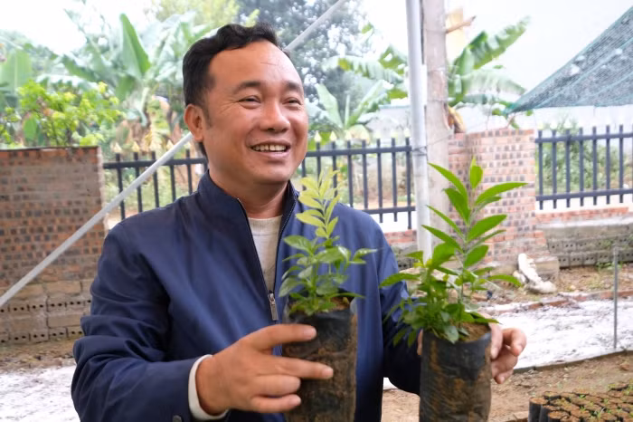 TS. Vũ Văn Thoại, Chủ tịch Hội đồng Khoa học Viện Nghiên cứu cây Đàn hương và Thực vật quý hiếm, đã thành công trong việc nghiên cứu thuần hóa và nhân giống cây đàn hương tại Việt Nam.