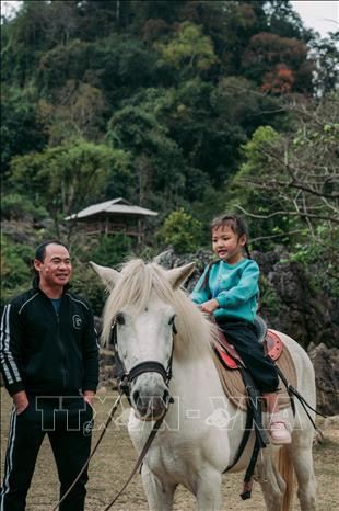 Cưỡi ngựa là một trải nghiệm cuộc sống của người dân ở nơi đây mà du khách không nên bỏ qua khi đến Hang Táu.