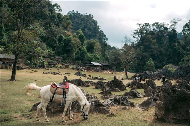 Cưỡi ngựa là một trong những hoạt động du lịch trải nghiệm cuộc sống của người dân ở Hang Táu mà du khách không nên bỏ qua.