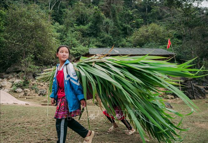Người dân ở Hang Táu chủ yếu sống bằng nghề chăn nuôi, làm rẫy.