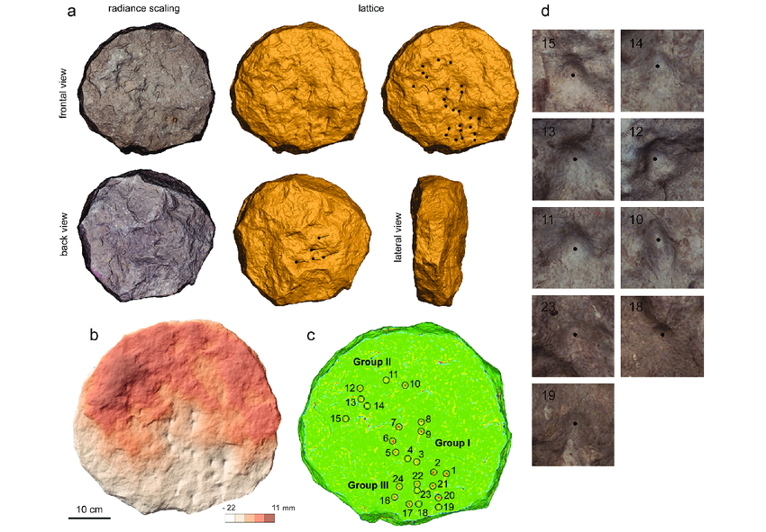 Các nhà khoa học lập luận rằng các hình khắc được chọn lựa một cách cẩn thận và chúng được chạm khắc bằng búa và đục.