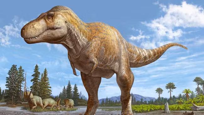 Loài này có niên đại khoảng 71-73 triệu năm trước, trước cả khi khủng long bạo chúa T-rex xuất hiện.