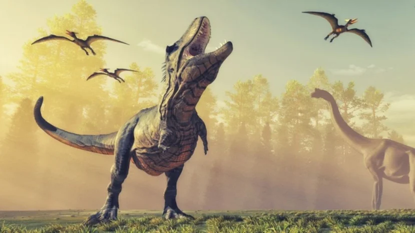 Sự chênh lệch về niên đại và các khác biệt hình thái cho thấy đây là một loài hoàn toàn mới.