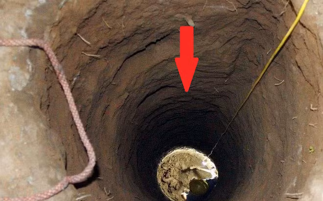 Lăng mộ cổ này là Tần Đông lăng, nằm tại phía tây của khu Lâm Đồng, thành phố Tây An, Trung Quốc.