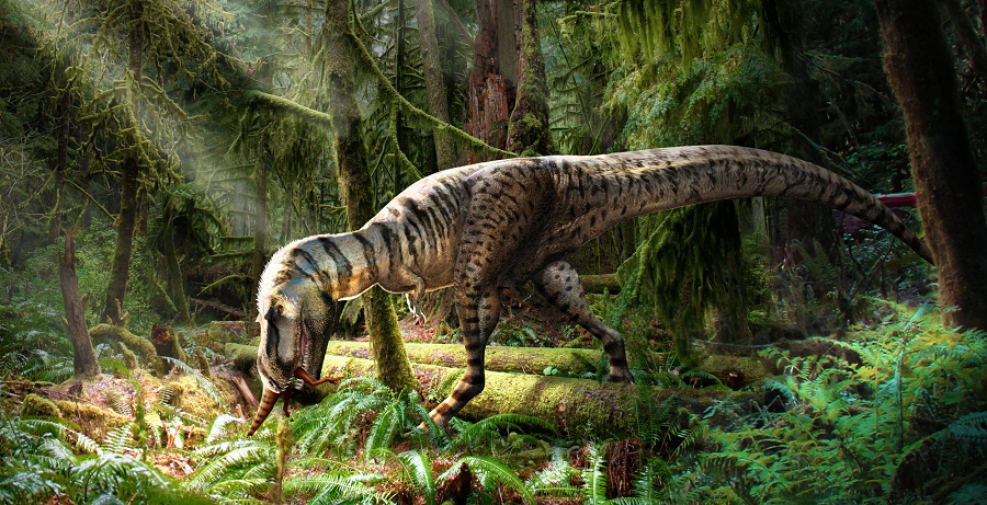 Hóa thạch Gorgosaurus được khai quật tại miền nam tỉnh Alberta, Canada, cung cấp thông tin mới về hệ sinh thái, cách kiếm ăn và chế độ ăn của loài khủng long này.