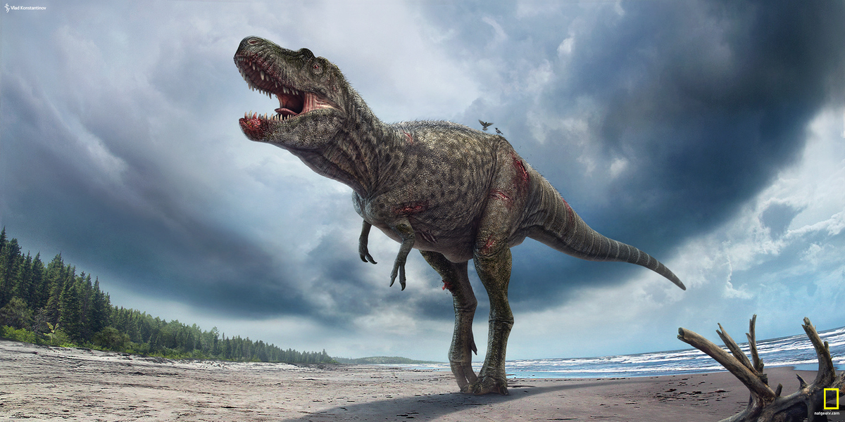 Gorgosaurus được biết đến với sự kỹ tính trong việc chọn thức ăn.