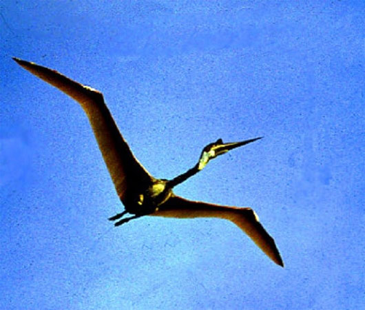 Ngoài ra, hiện tượng súc vật bị phanh thây một cách bạo lực, bắt đầu từ năm 1998, cũng góp phần làm nên những bí ẩn đen tối tại Tam giác quỷ trên cạn này.