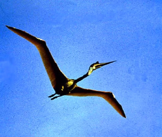 Ngoài ra, hiện tượng súc vật bị phanh thây một cách bạo lực, bắt đầu từ năm 1998, cũng góp phần làm nên những bí ẩn đen tối tại Tam giác quỷ trên cạn này.