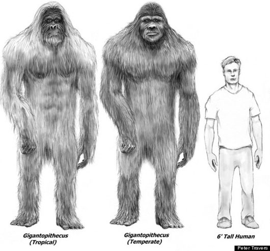 Ngoài UFO, khu vực này cũng được biết đến với các sinh vật kỳ bí như Bigfoot. Đầm lầy Hockomock, nằm ở trung tâm tam giác, còn được gọi là "đầm lầy quỷ" và là nơi xuất hiện của nhiều quái vật.