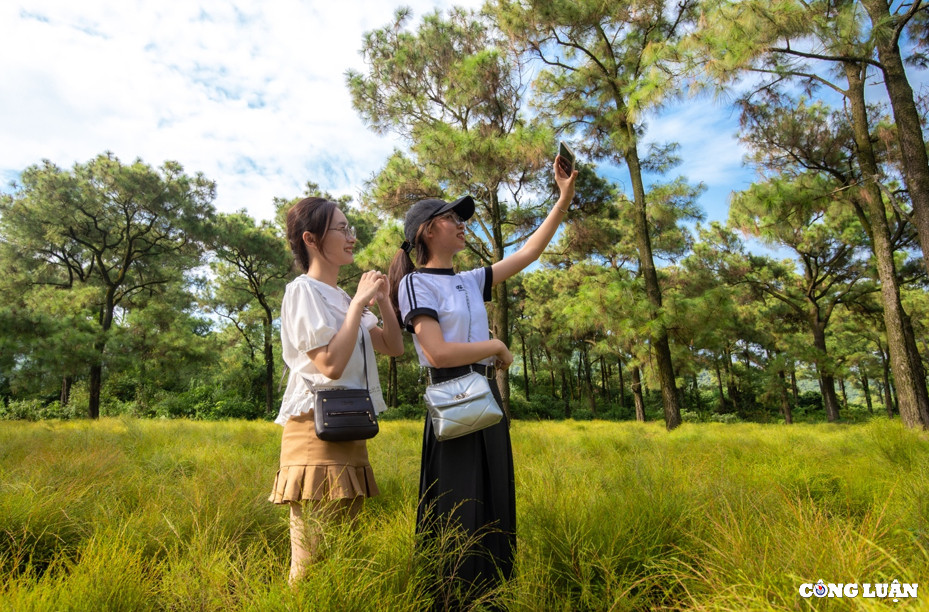 Với cảnh quan tươi đẹp, những năm gần đây khu bãi rễ Côn Sơn trở thành một điểm du lịch sinh thái, tham quan, trải nghiệm, chụp ảnh rất thú vị. Mỗi năm, cánh đồng rễ đã thu hút hàng chục nghìn lượt du khách khắp nơi về đây chụp ảnh, trải nghiệm. Nhận ra được lợi thế này, một số hộ dân cũng đã tận dụng cánh đồng rễ để làm “phim trường” để các bạn trẻ đến quay phim, chụp ảnh cưới, ảnh kỷ niệm…