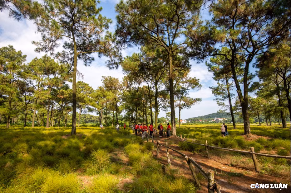 hiều người còn tìm đến đây để tổ chức các buổi dã ngoại, picnic vì khung cảnh đẹp, không khí trong lành mát mẻ.