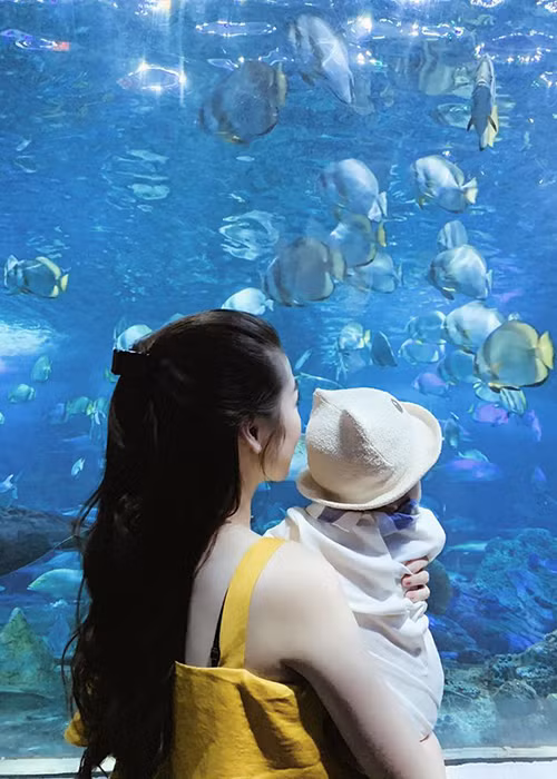 Con trai của Tú Anh tên thân mật là Kem, rất thích cười.