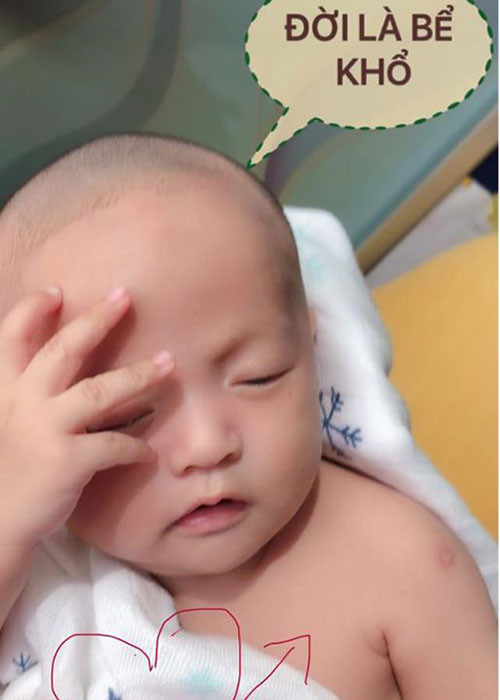 Khi vừa chào đời, bé Tết đã đốn tim người hâm mộ Thanh Thúy - Đức Thịnh bởi những biểu cảm đáng yêu.